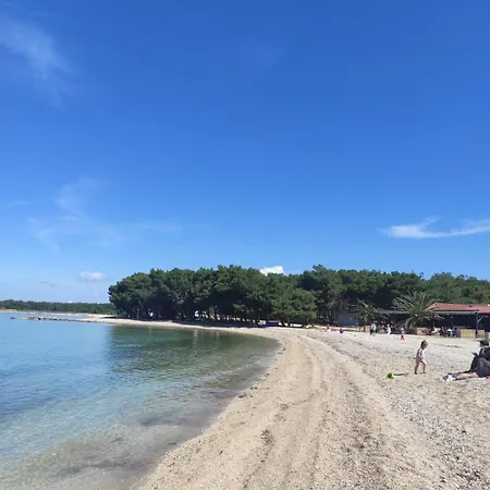 Vida Povljana